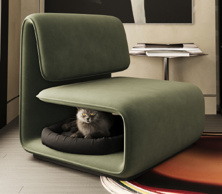 Cat comfortably naps inside the hollow of a green modern lounge chair in a living room setting, with a side table and magazines nearby.